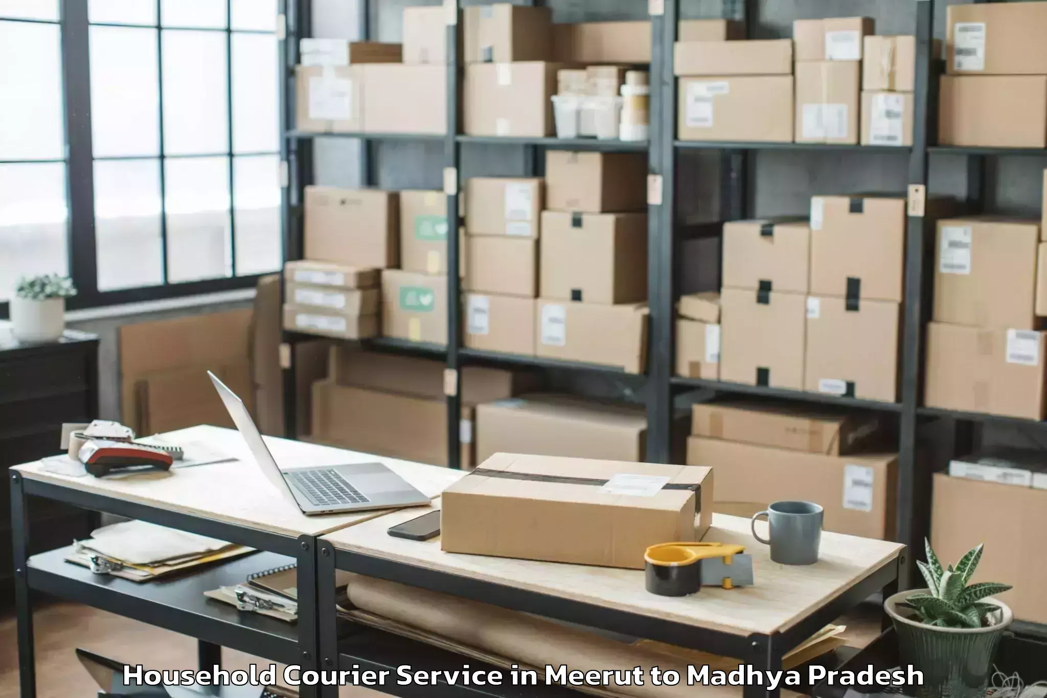 Leading Meerut to Mandsaur Household Courier Provider